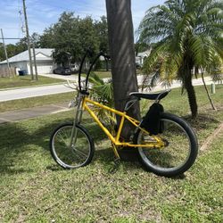 Custom Beach Bike