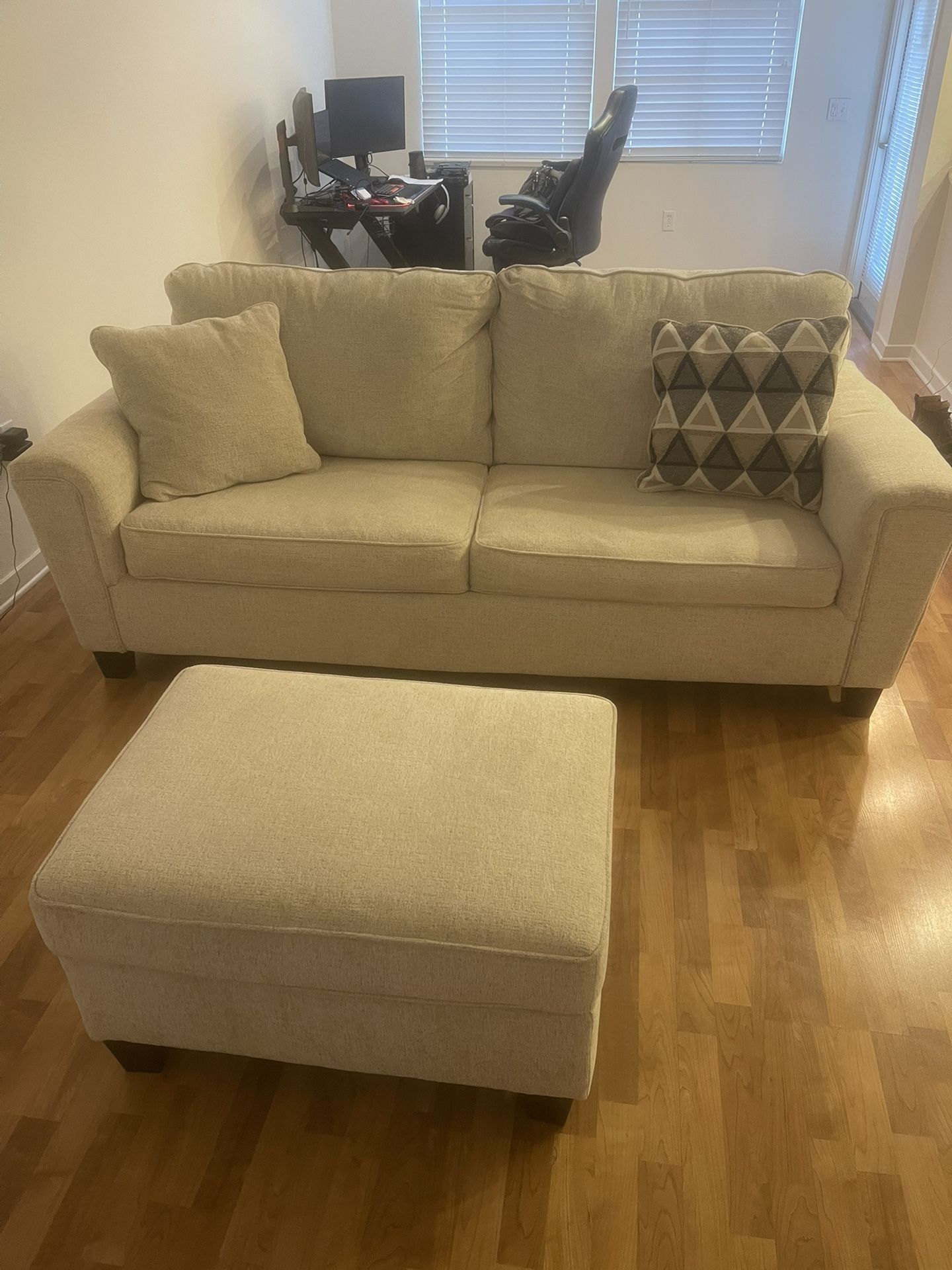 Sleeper Sofa And Ottoman 