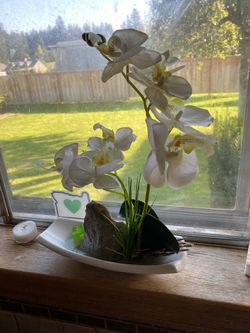 Plants - fake