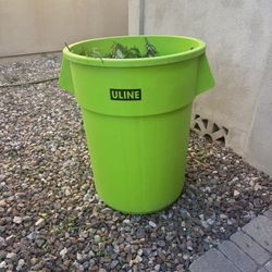Cans (55 Gal)