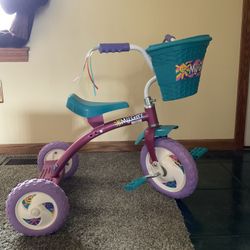 Brand New Tricycle