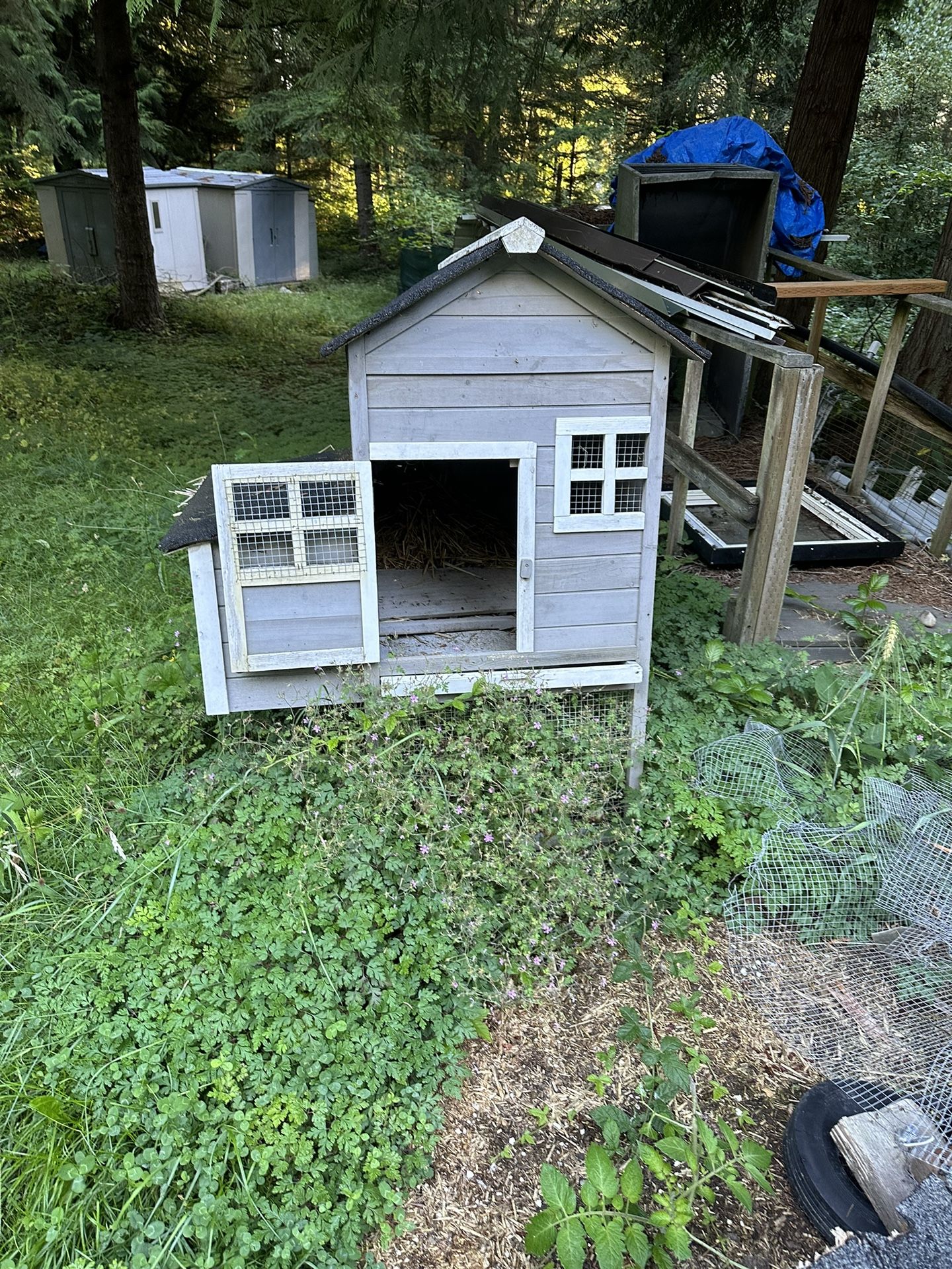 Chicken Coop