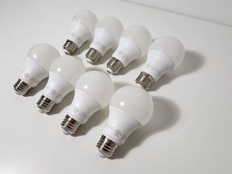 Pack of (8) Warm White LED Bulbs