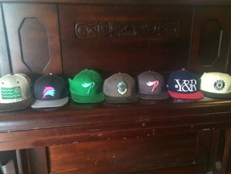 Pink dolphin hats