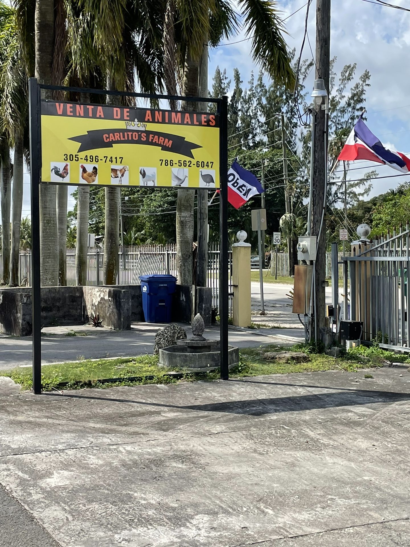 VENTA DE ANIMALES