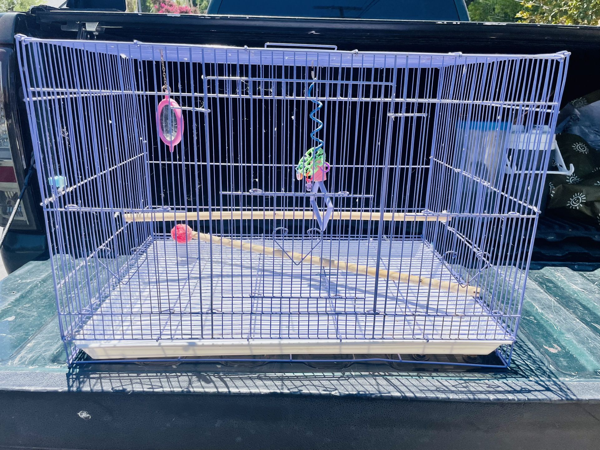 Bird Cage