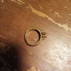 Titanium Couples Ring