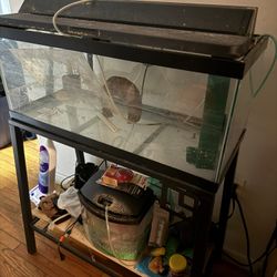 Aquarium 