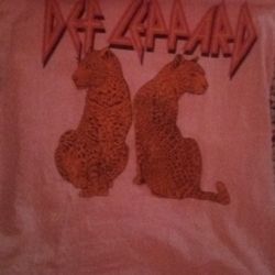 Kids Def Leppard Shirt Good Condition Size 10-12$10.00