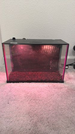 Fish tank