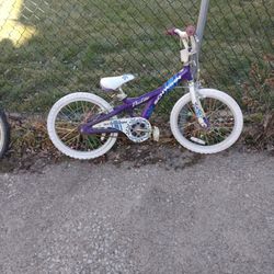 Kids Schwinn Bike