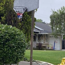 FREE Adjustable Basketball Hoop