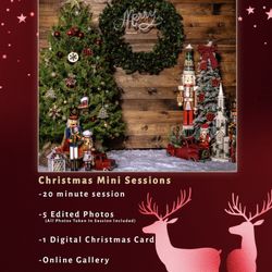 Christmas Mini Session