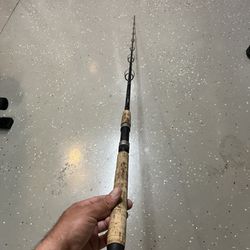 Shimano Teramar Fishing Rod
