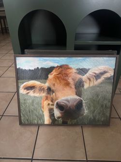 Cow frame $5