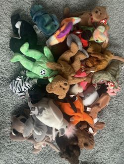 Beanie Baby Lot