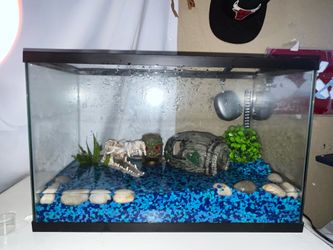 10 gallon tank with full kit and decoration