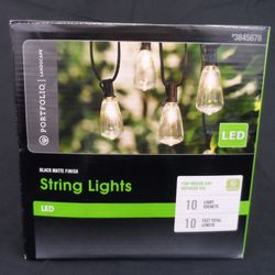 String LED Lights - 10 Edison Bulbs - NEW - Multiple available