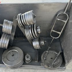 Weight Plates / Adjustable Dumbbells