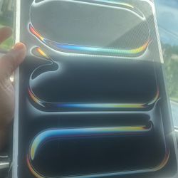 IPAD PRO 13-inch M4 WiFi+Cellular