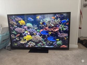 Need gone  ASAP!