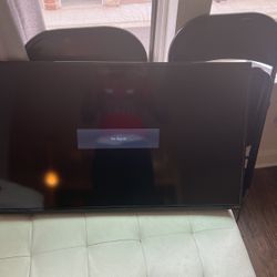 Vizio 40 Inch(no Stand) 