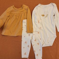 Carter's Cozy and Cute Baby Girl 3 Piece Set - Leaves/Acorn Prints - Size: 18M 