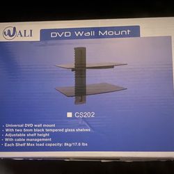 DVD Wall Mount