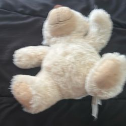 Teddy Bear Toy