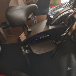 Body Rider Dual Trainer Bike