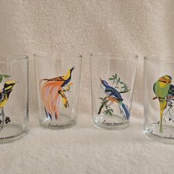 1970s Tropical Bird Set Of 4 Glasses