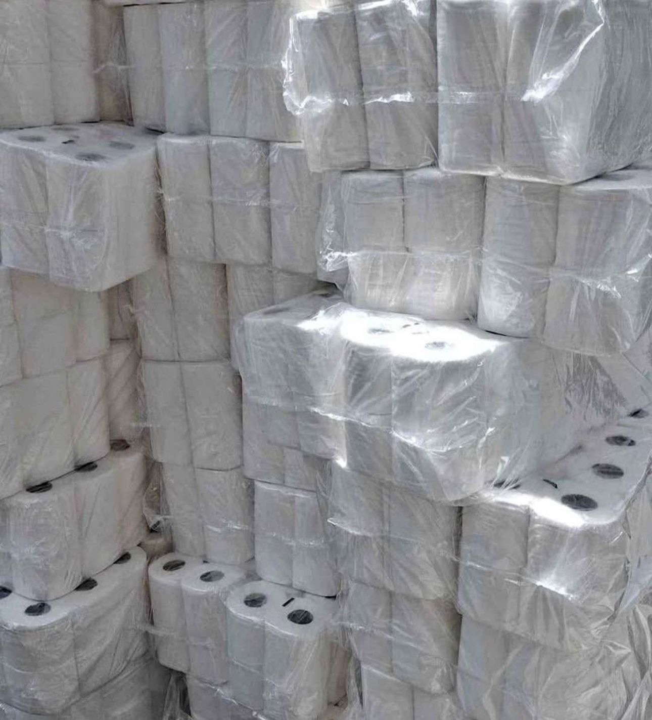 48 Rolls Of Toilet Tissue/Toilet Tissue 