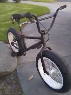 Mongoose stomp