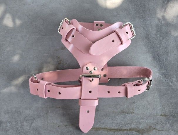 Dog Harness