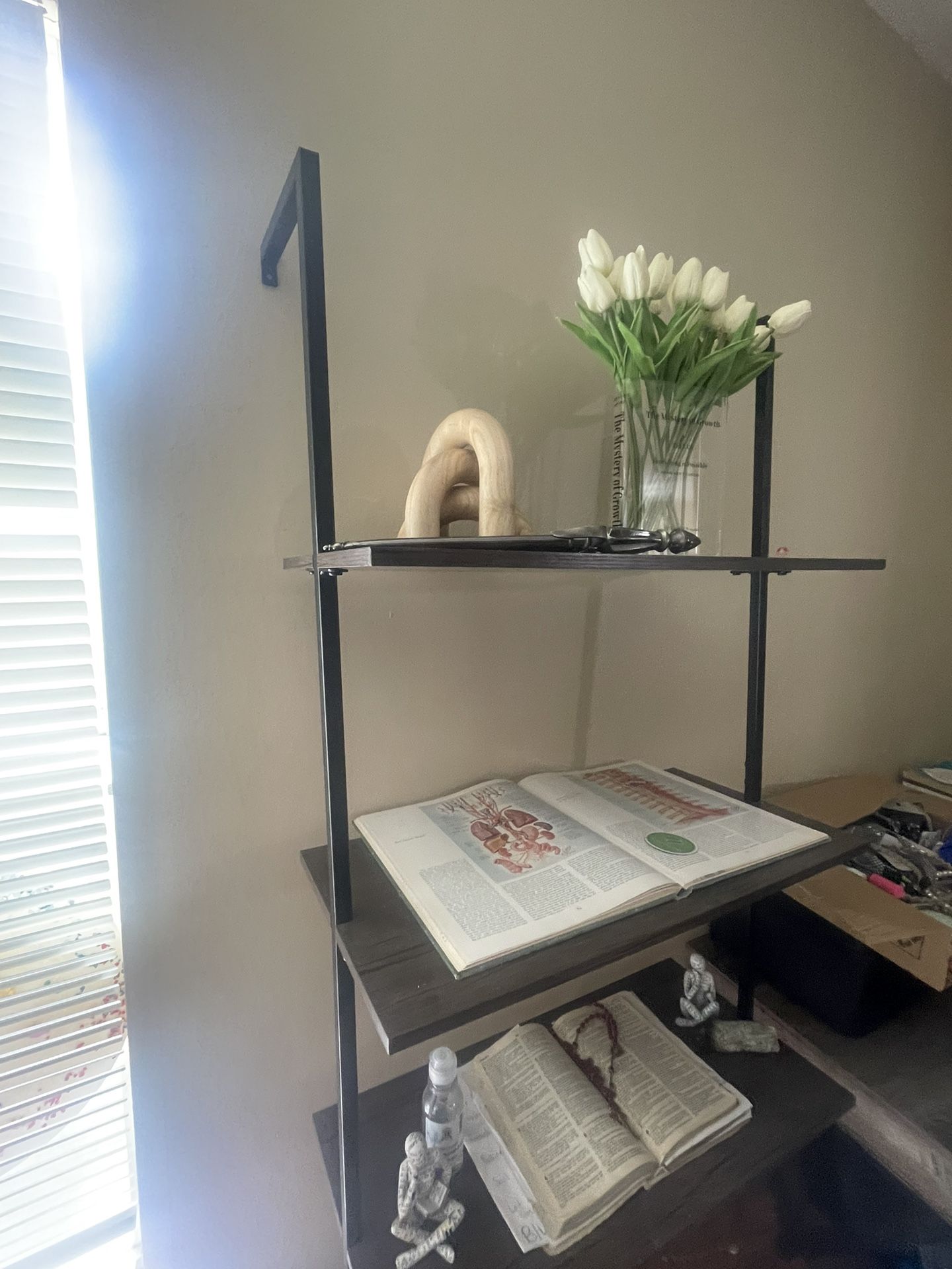 Shelves