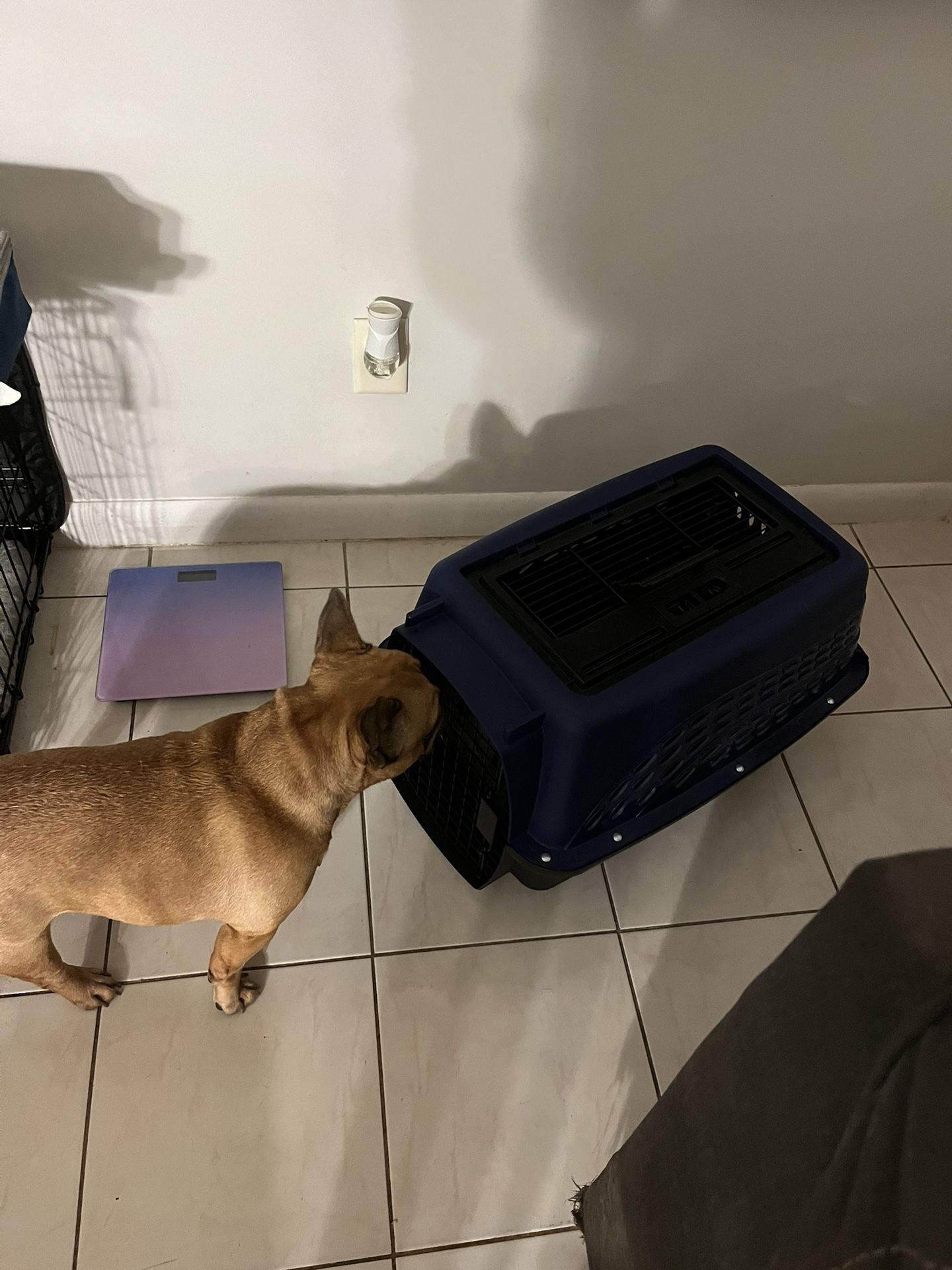 Garage Sale . Dogs Cage
