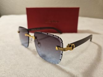 Sunglasses 