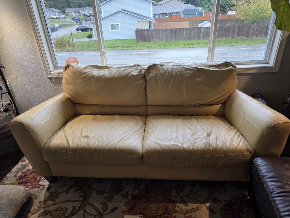 Leather Couch