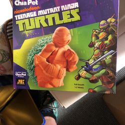 Chia Teenage Mutant Ninja Turtle