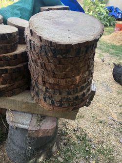 WOOD SLICES