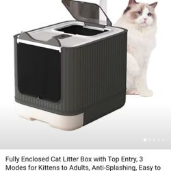 Cat Litter Box