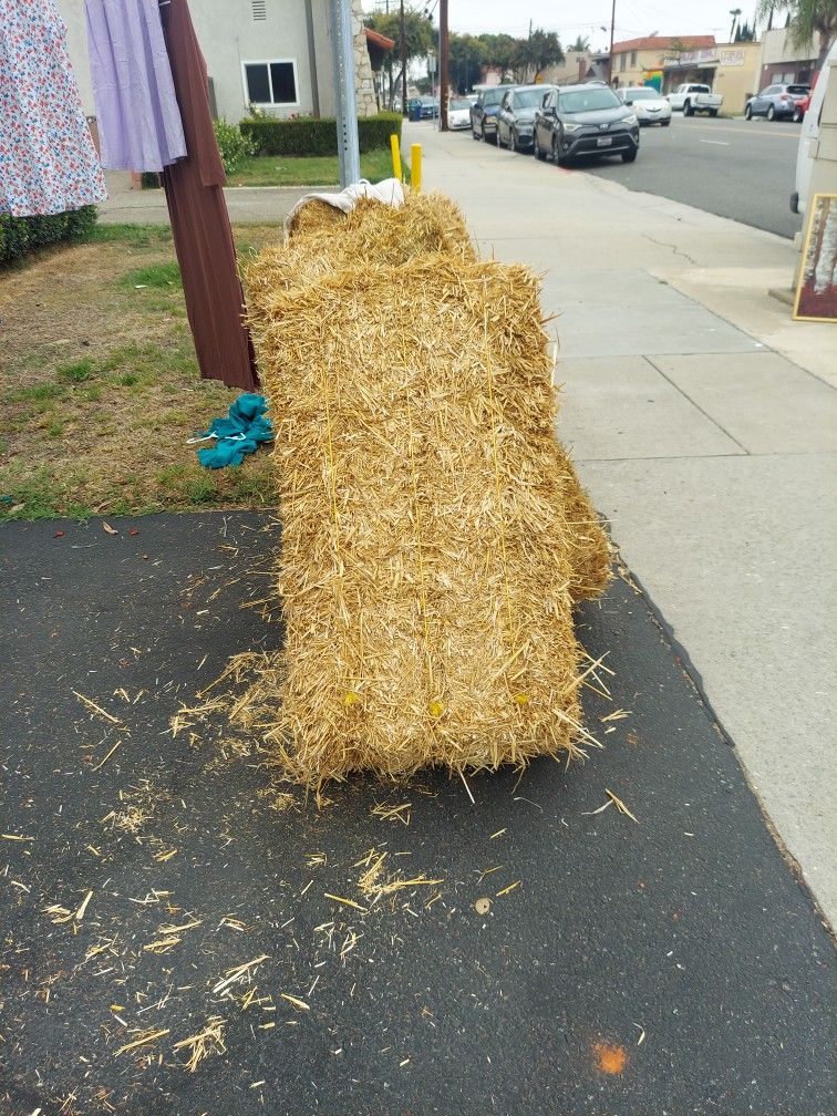 Western Theme Party
