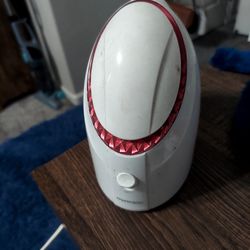 Mini Facial Steamer