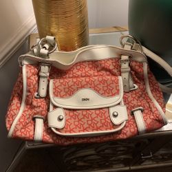 Dkn Purse 