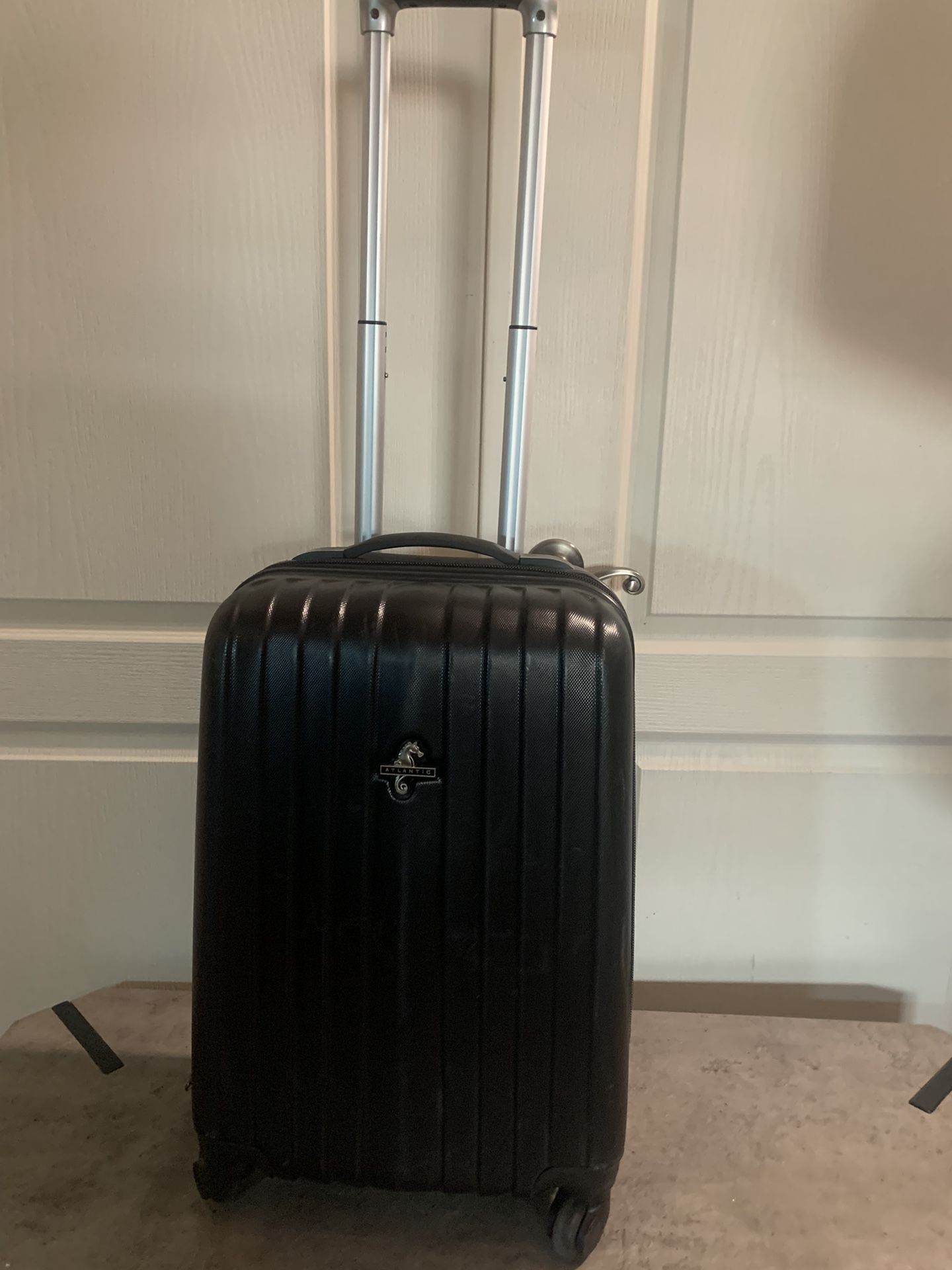 Carry Luggage 