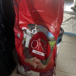 Puppy Food