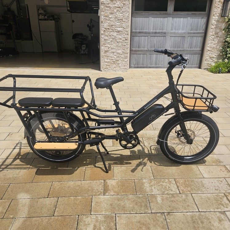 Radwagon 4 Electric Bike