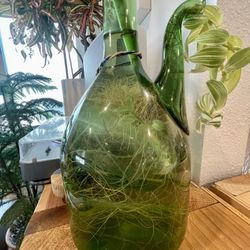  Live Art for Your Shelf – Antique Glass + Cascading Duo, 1950s Green Glass Planter