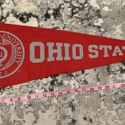 The Ohio State University Felt Pennant Vintage Red College Sports Decor