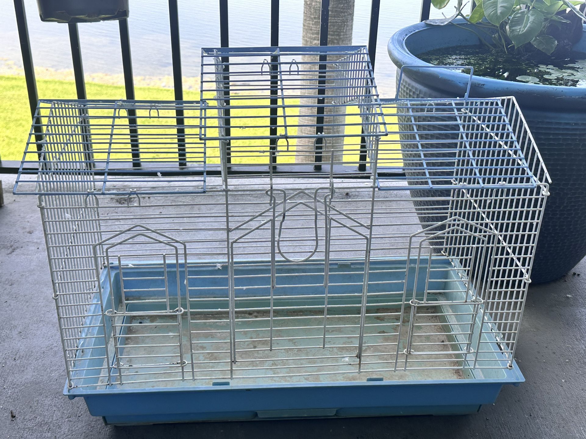 Bird Cage
